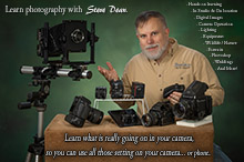 learning.com classes - Steve Dean Photography